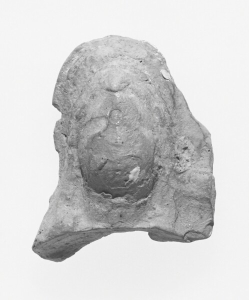 Unknown, Female Head