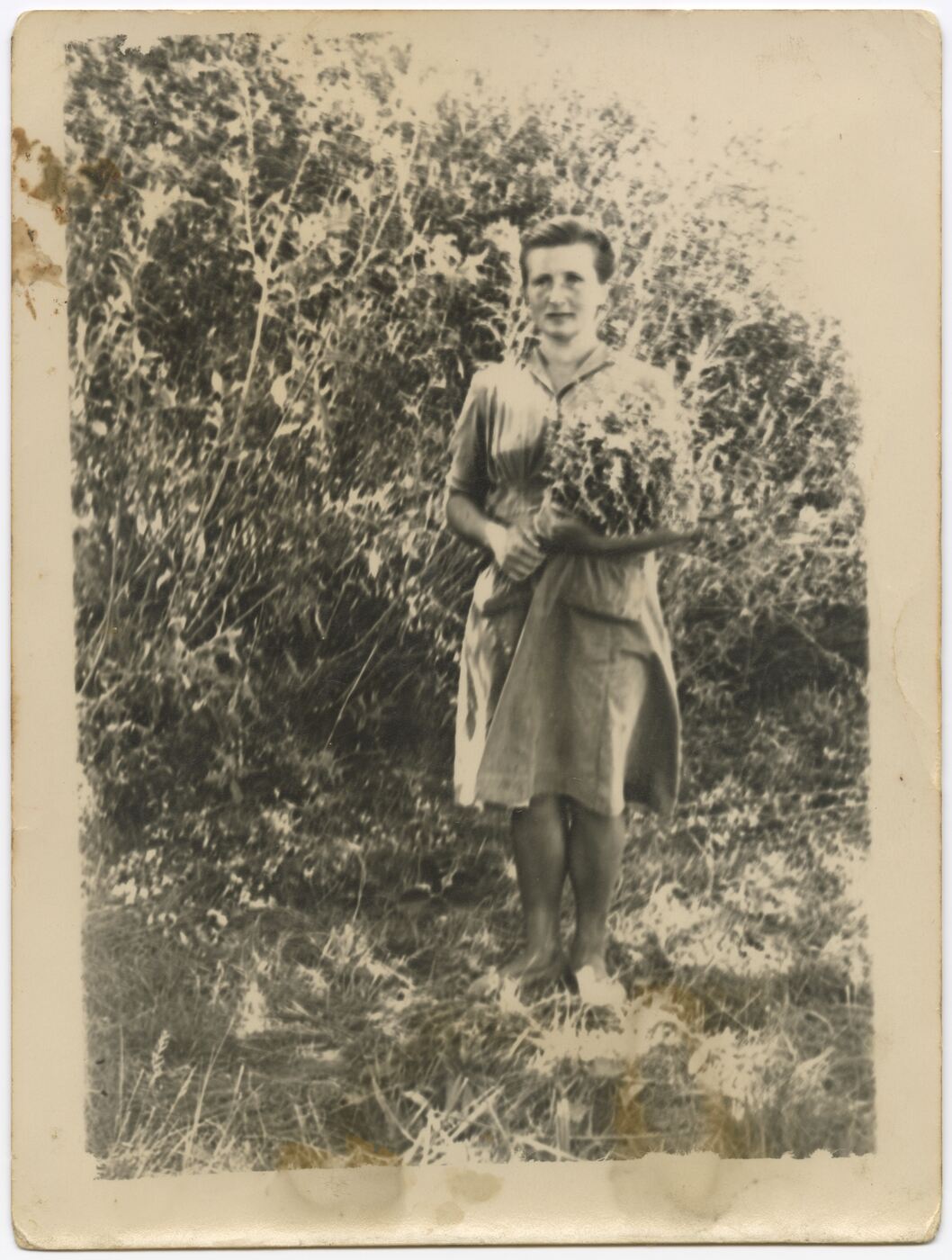 Nežinomas autorius, Joana Dijokaitė