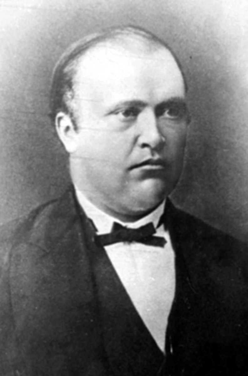 Anno Domkirkeodden, PORTRETT KJØPMANN MARTINUS SCHJERDEN, 10-09-1840 - 1892, ORDFØRER I HAMAR: 1876, 1877, 1882FORMANN I HAMAR HANDELSSTANDS FORENING 1881, 18?