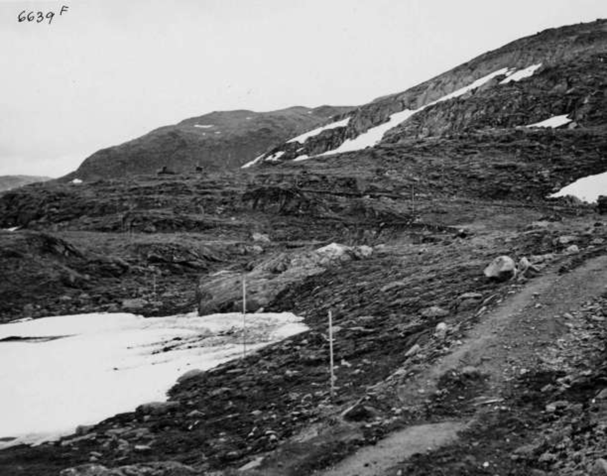 Anders Beer Wilse, -7264