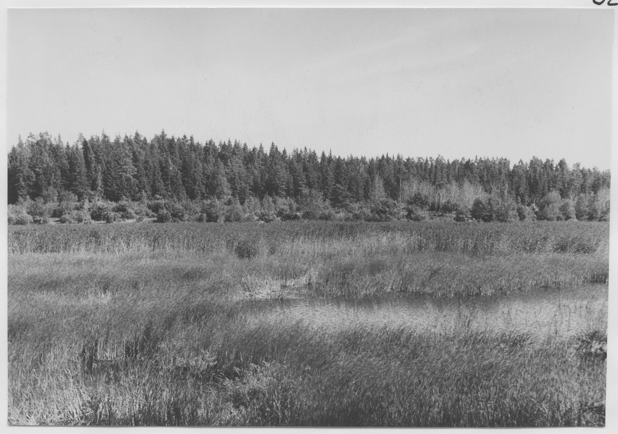 Mårten Sjöbeck, Utål