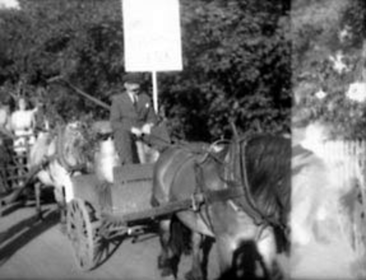Anno Domkirkeodden, STANGEDAGEN, OPPTOG JOHAN NØKLEHOLM MED HEST OG VOGN