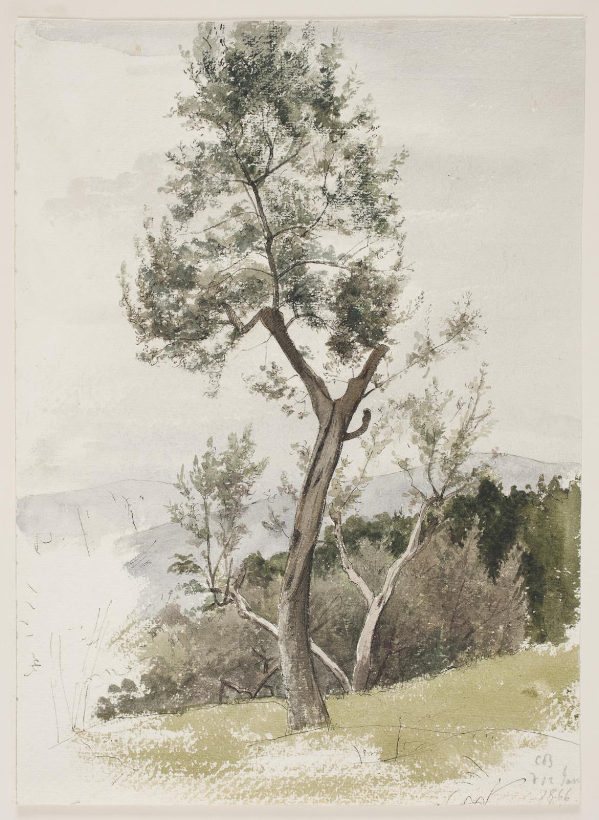 Carl Bloch, Træer på en bjergskråning