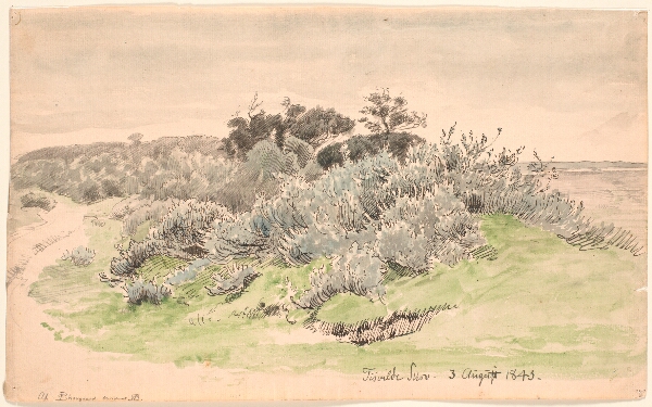 P.C. Skovgaard, Landskab med krat.