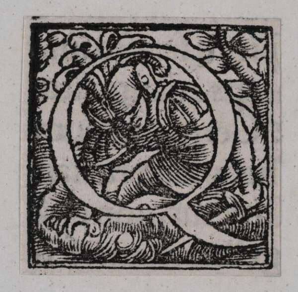 Unknown, Print