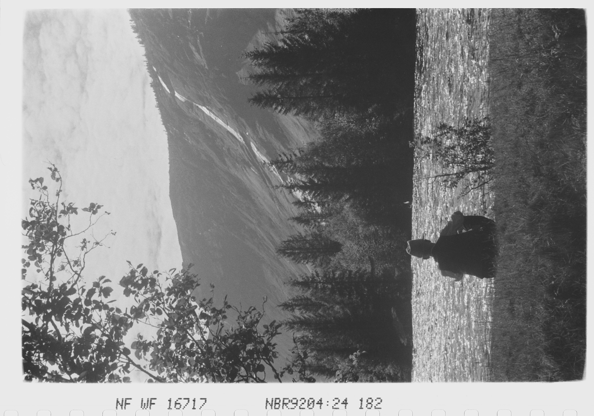 Anders Beer Wilse, Prot: Setesdalen Otra