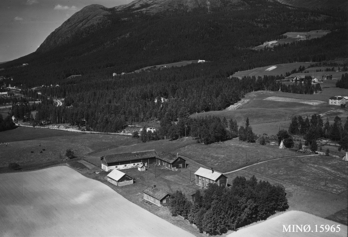 Widerøes Flyveselskap A/S, Gardsbruk, Steifetten
