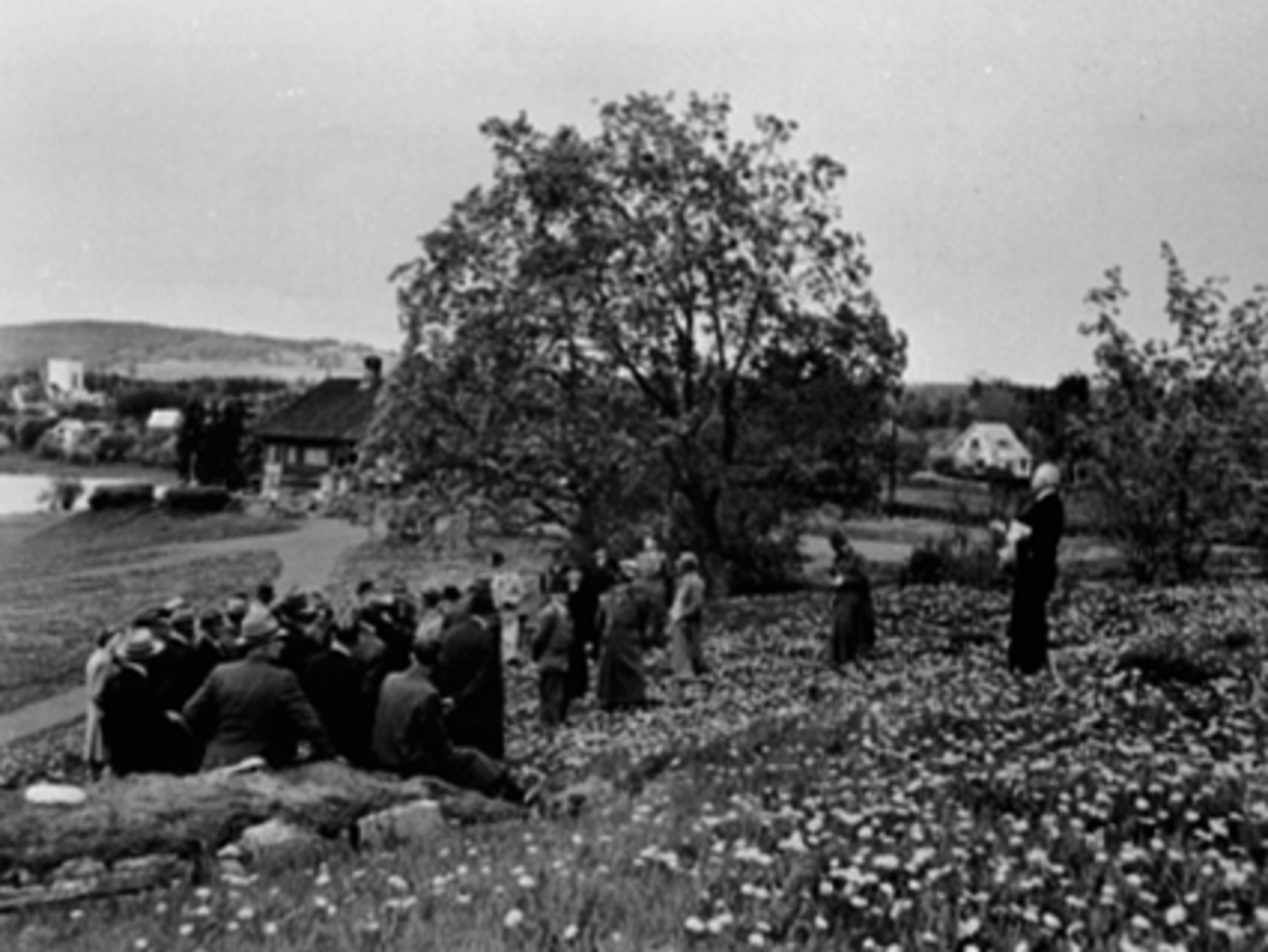 Anno Domkirkeodden, FYLKESTINGET, BEFARING, DOMKIRKEODDEN, STYRELEDER ING. STOUSLAND