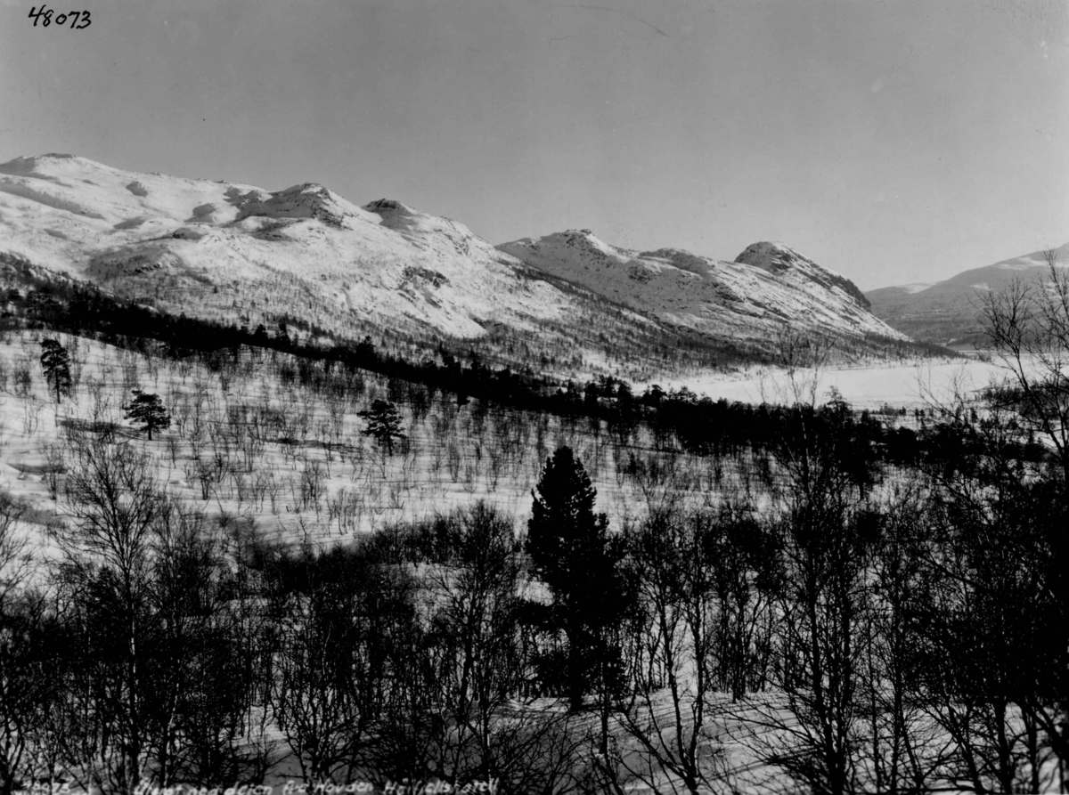 Anders Beer Wilse, Hovden, sno.