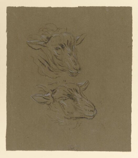 Potter, Beatrix, drawing