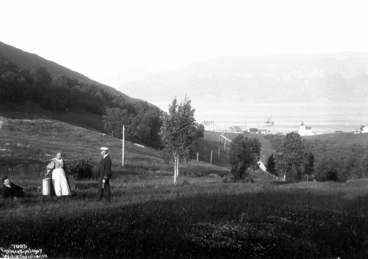 Anders Beer Wilse, Prot: Lyngseidet - Oversigt 1907