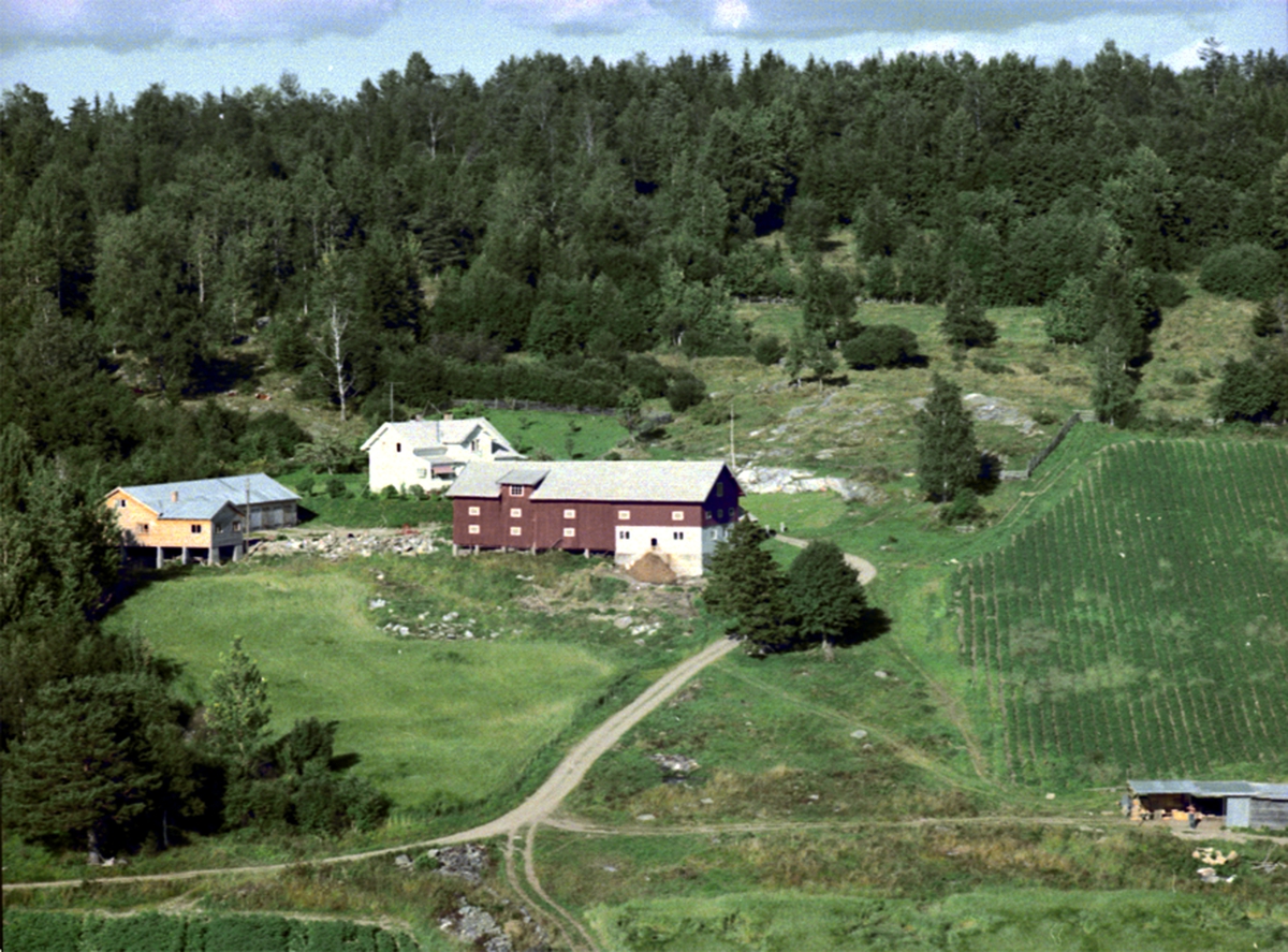 Widerøes Flyveselskap A/S, FLYFOTO LEKVOLDHAGEN, VALLSET