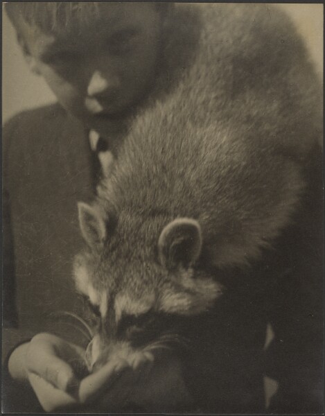 Louis Fleckenstein, [Portrait of a Boy Feeding a Raccoon]