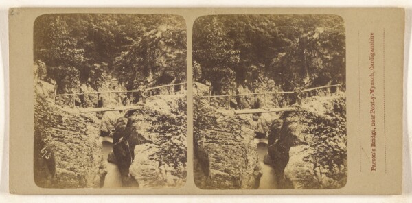 Unknown, Parson's Bridge, near Pont-y-Mynach, Cardiganshire