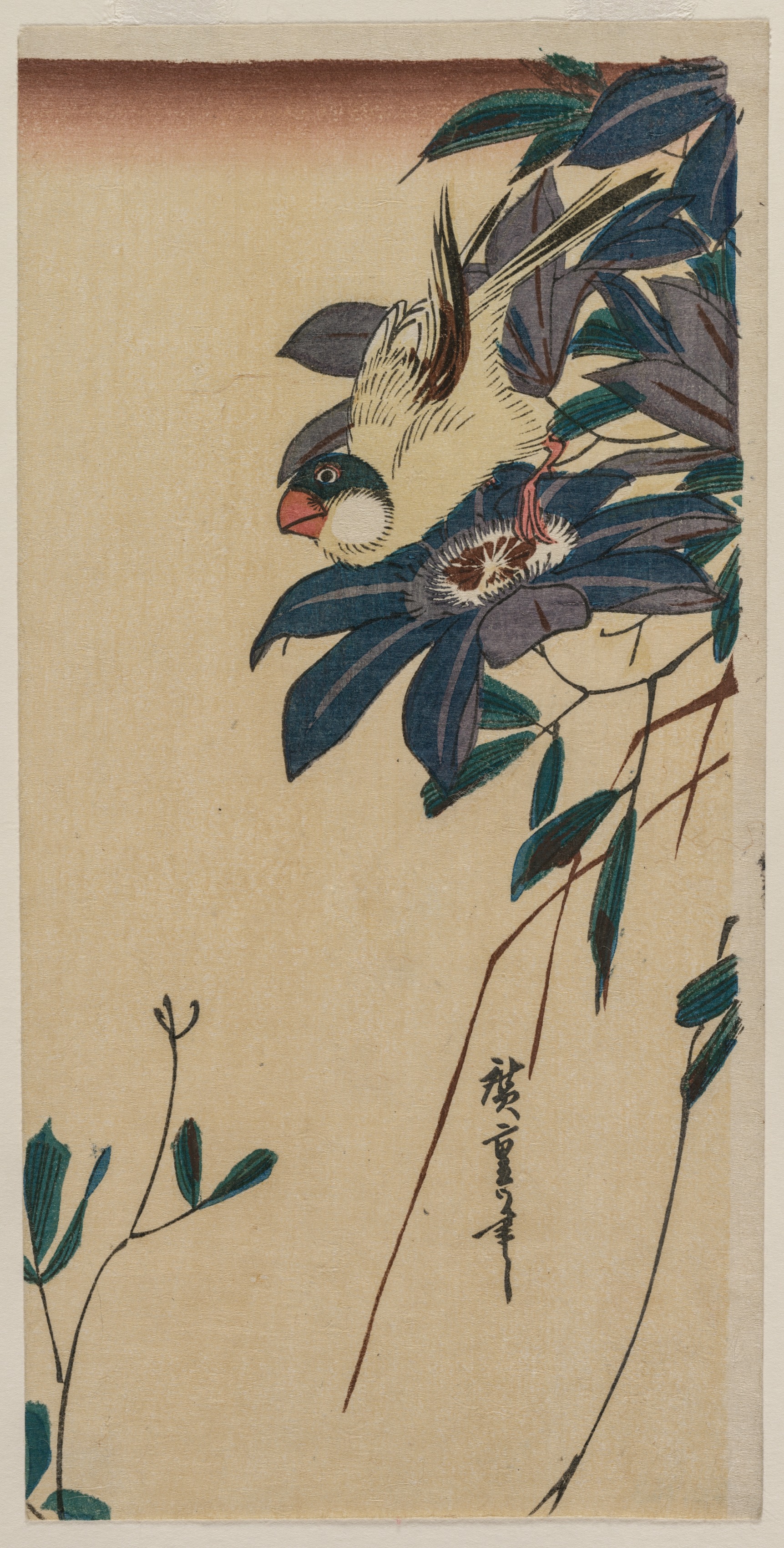 Utagawa Hiroshige, Grosbeak and Clematis