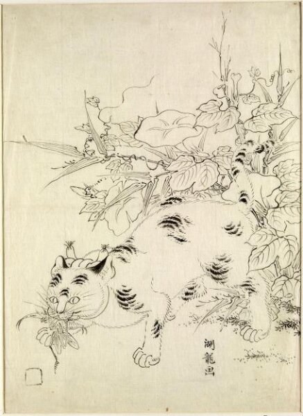 Isoda Koryusai, Cat Catching an Insect