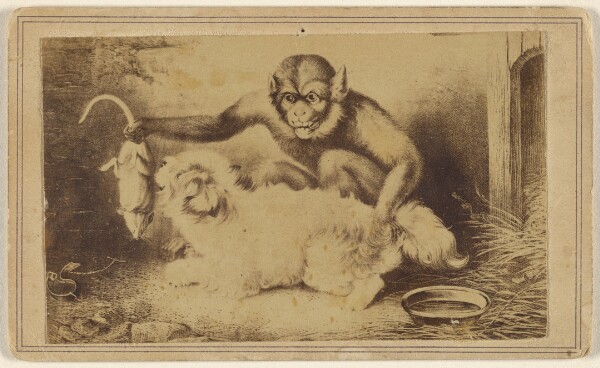 Unknown, [Copy of a painting depicting a monkey holding a rat by its tail in front of a small white dog]