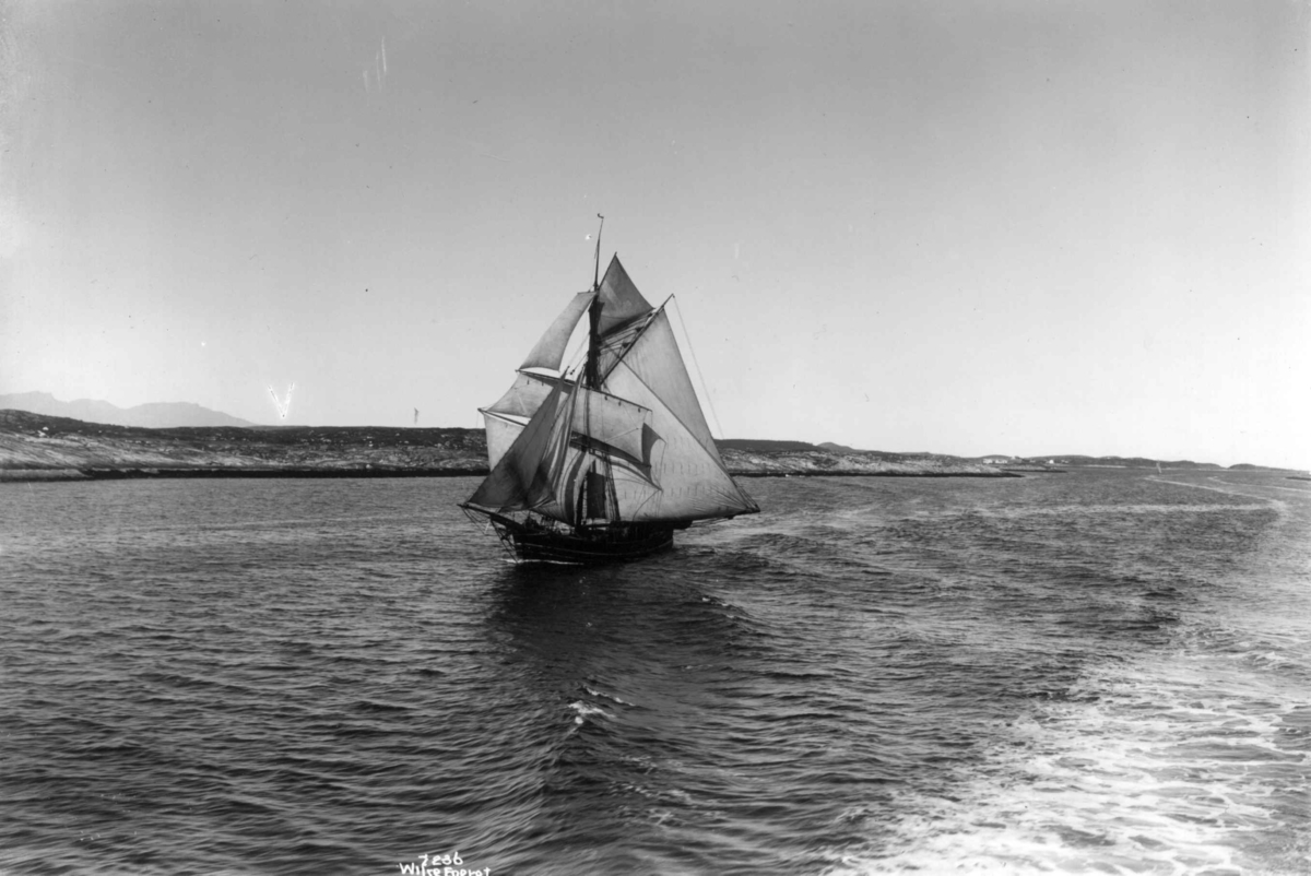 Anders Beer Wilse, Jakt med bovenseil. Antagelig Trøndelag 1907.