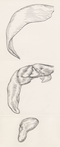 J Tinkelenberg, Reconstruction of the cerebellum