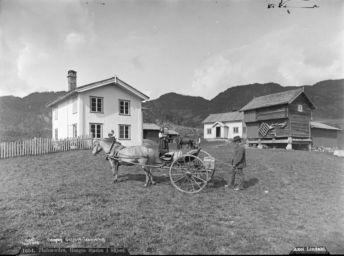 Axel Lindahl, Prot: Haugen station i Siljord Neg: Haugen Seljord Telemarken