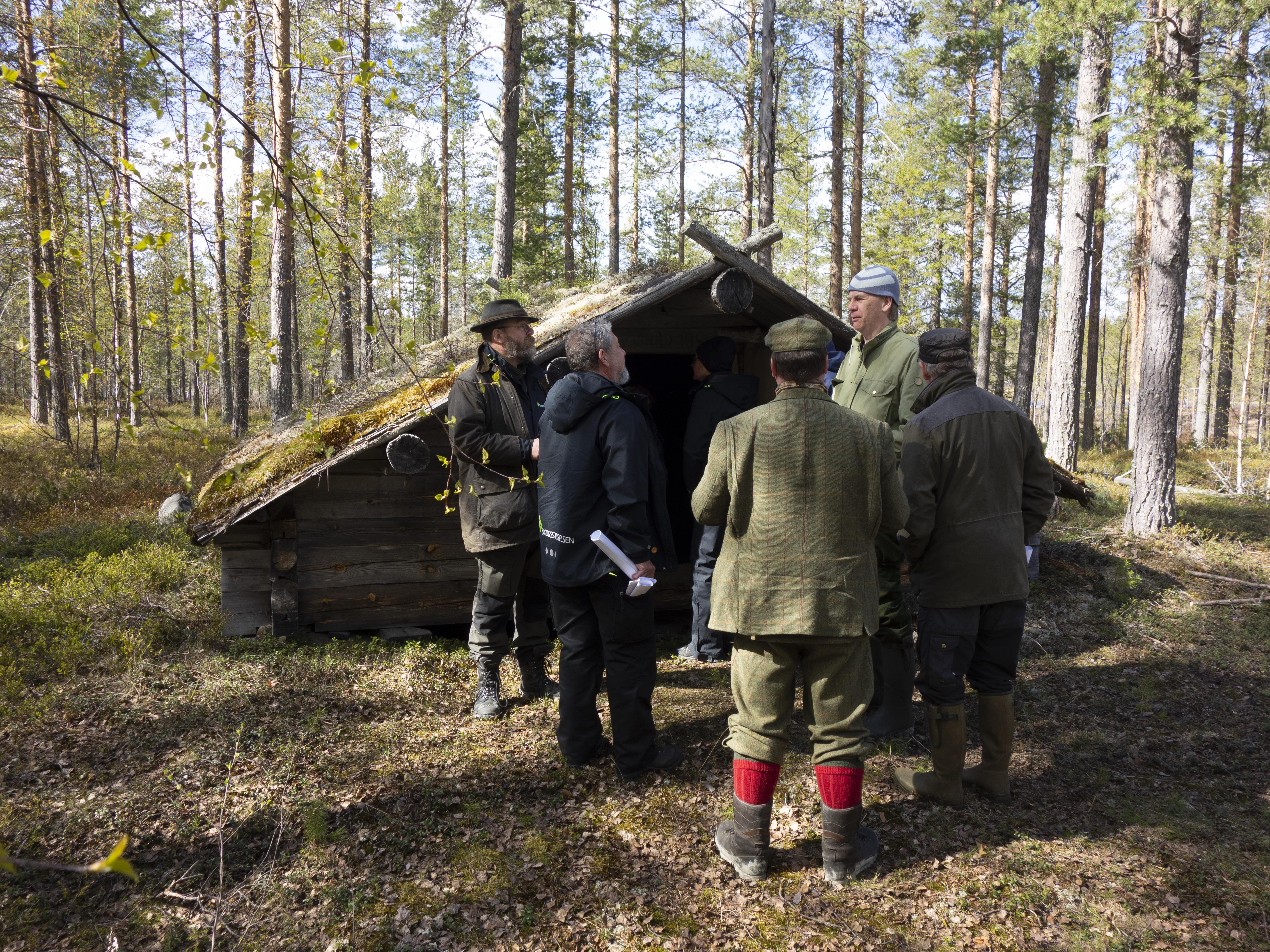 Leif Gren, Hortlax 343:2