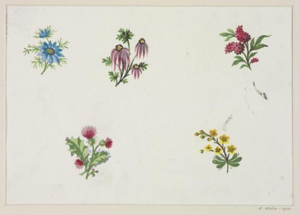 Unknown, Drawing