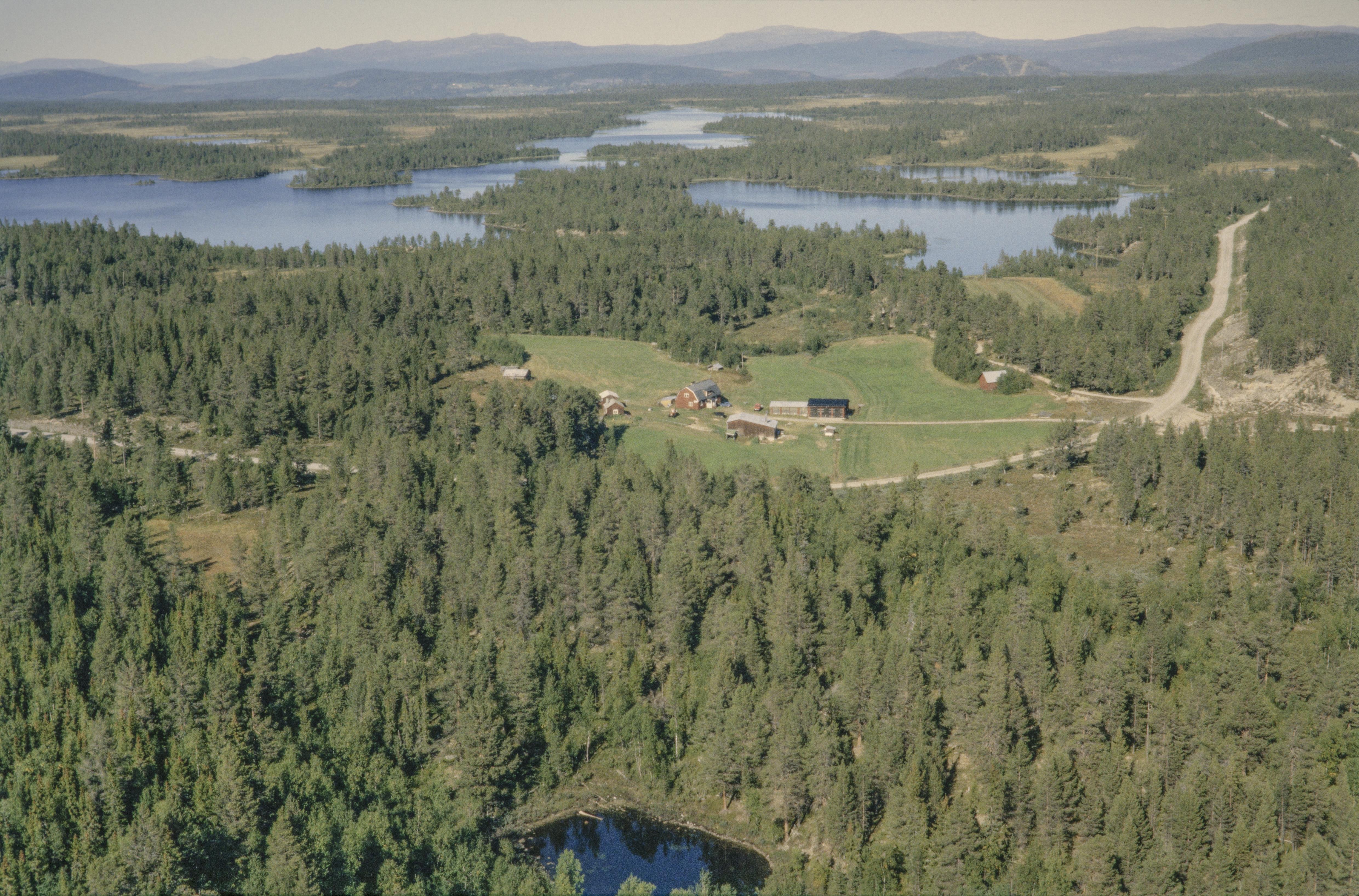 Jan Norrman, Tännäs 704:1