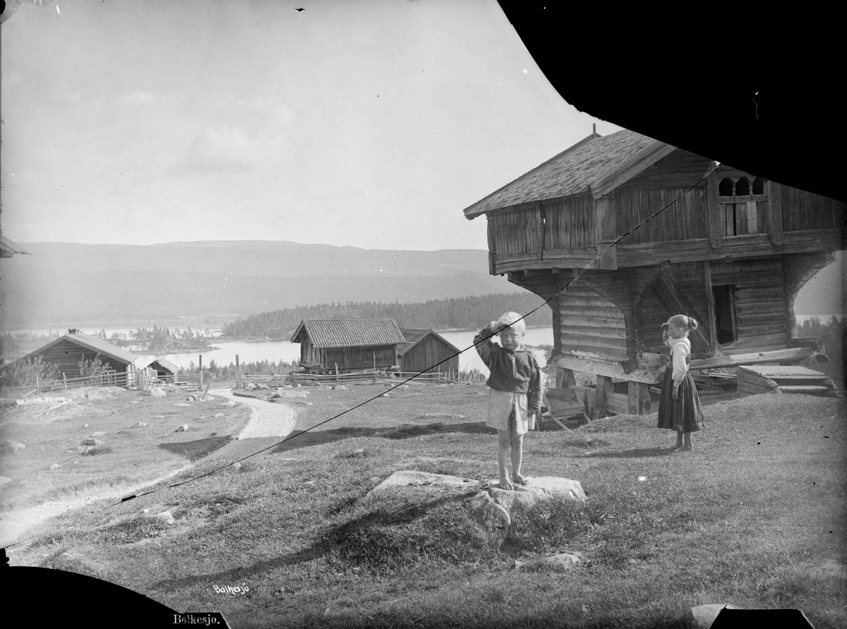 Axel Lindahl, "Prot: Thelemarken, Bolkesjø
