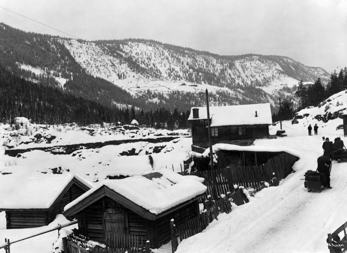 Anders Beer Wilse, Prot: Valdres - Veiparti ovenfor Fagerlund Hotel 10/3 1904