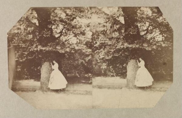 Clementina, Lady Hawarden, Photograph