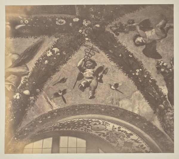 Unknown, [Fresco of Putto with attributes of Mercury by Raphael and his workshop in Villa Farnesina]