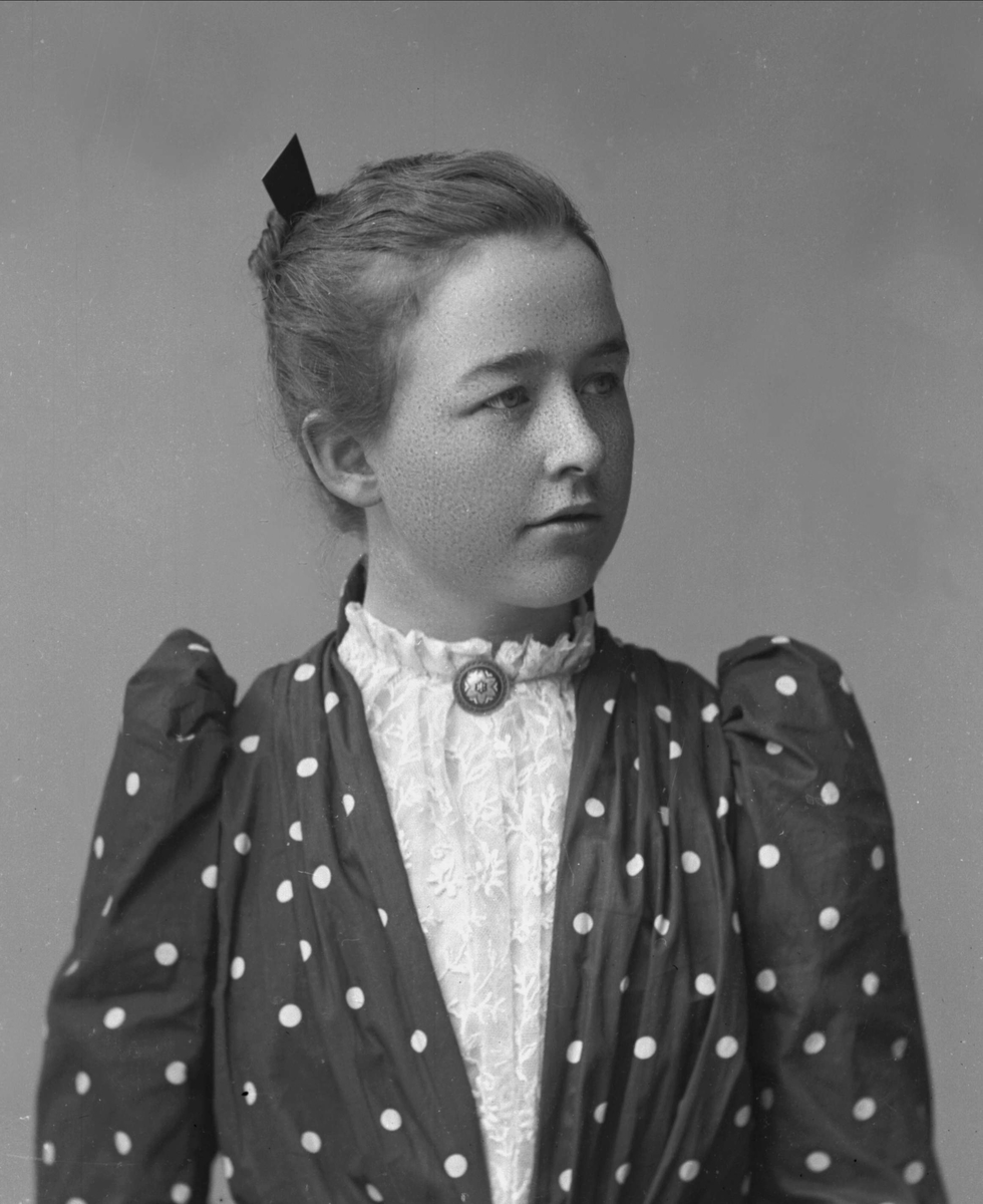 Gustav Borgen, NFB.06573