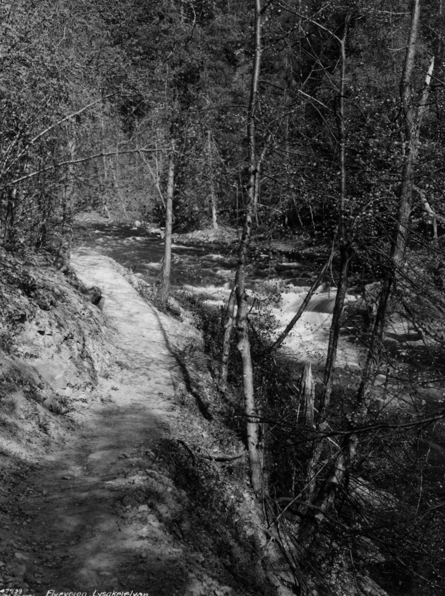 Anders Beer Wilse, Lysakerelva