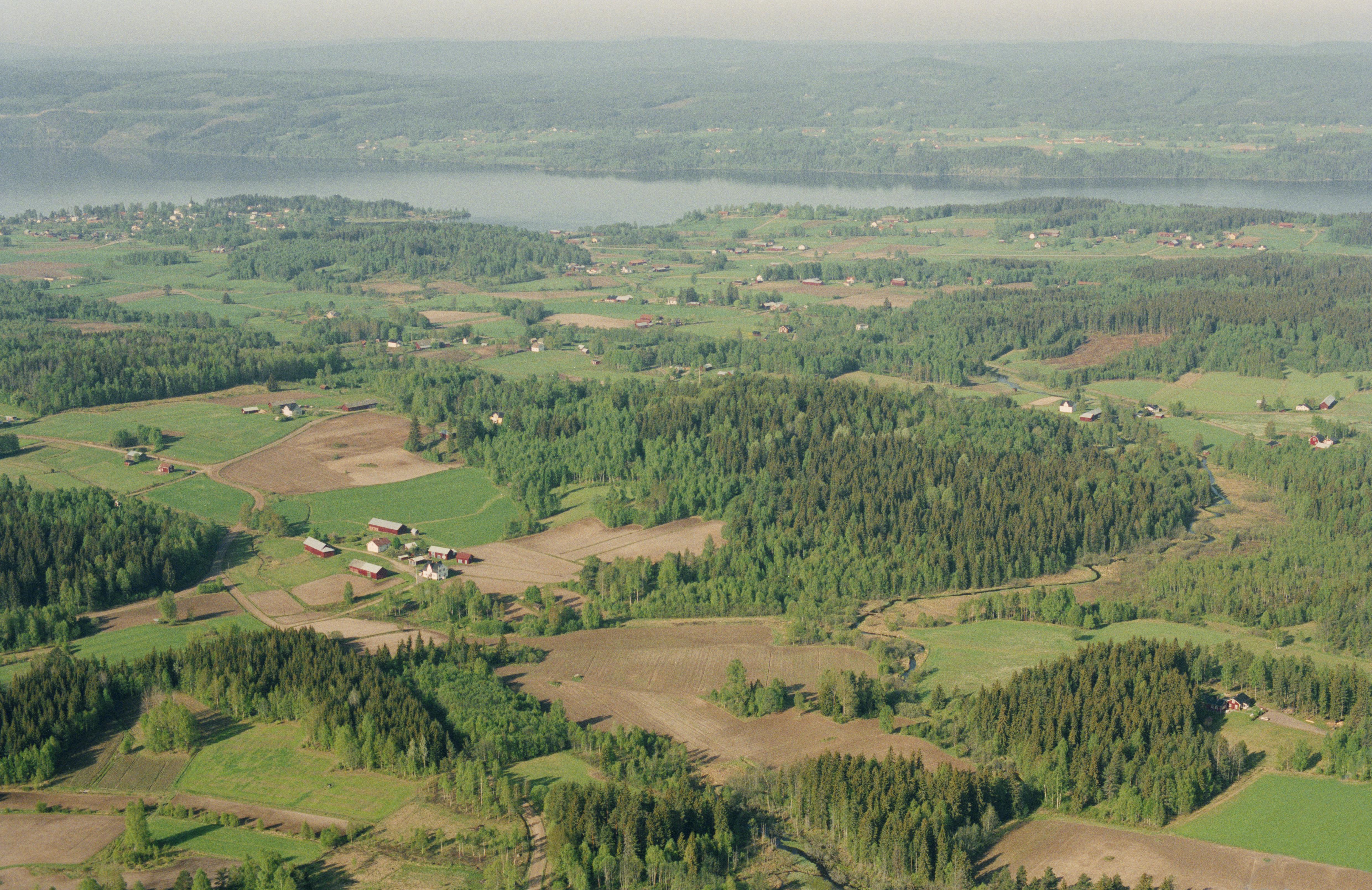 Jan Norrman, Lysvik 100:1