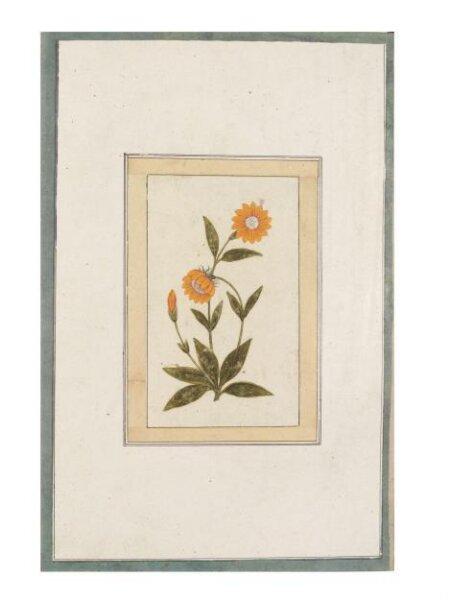 Unknown, Painting