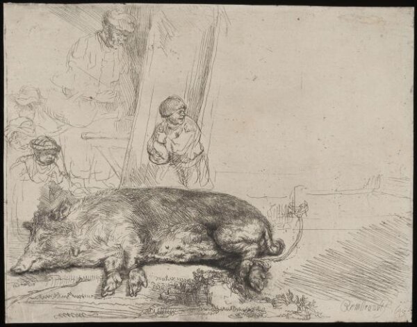 Rembrandt, The Hog