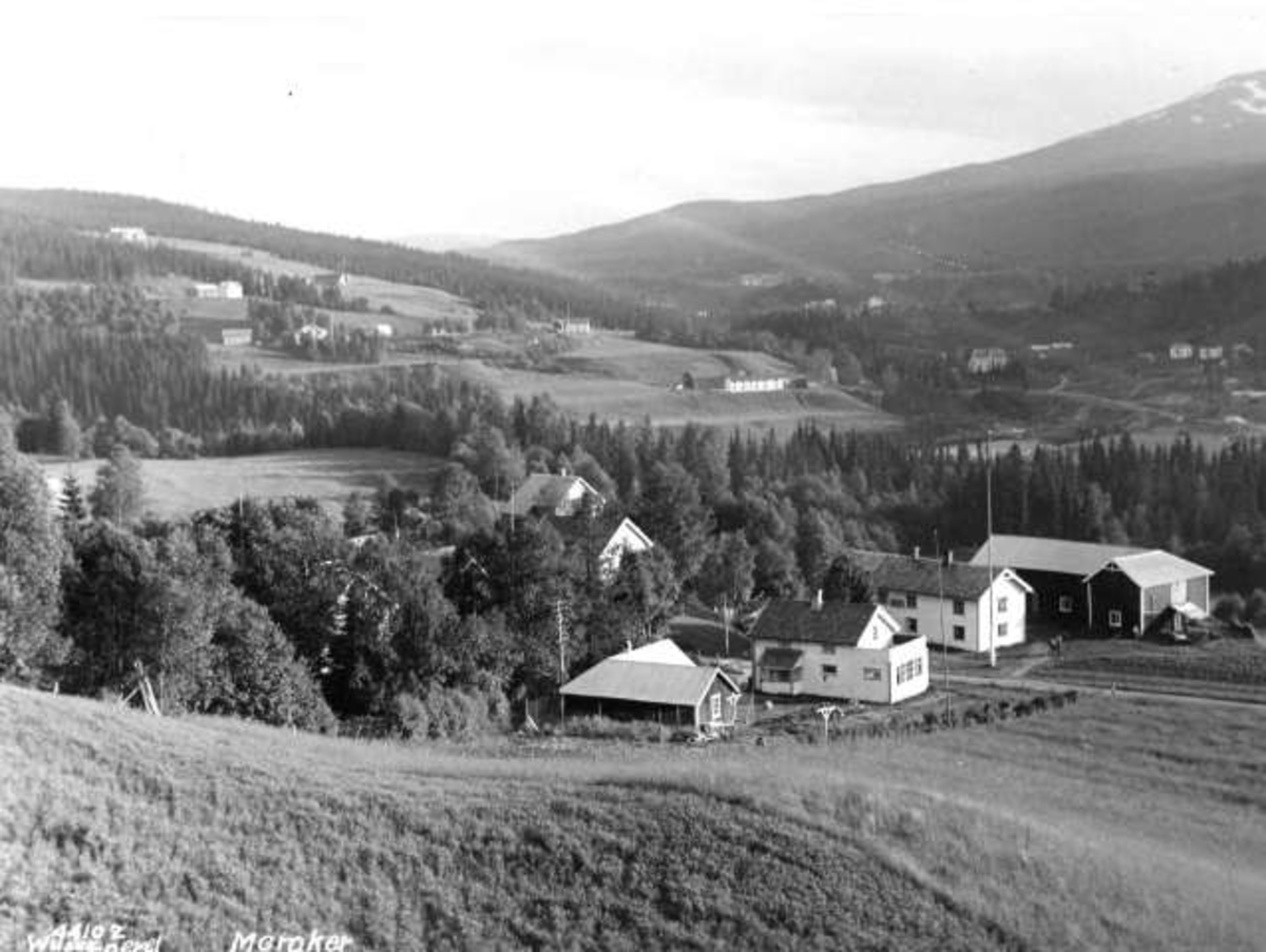 Anders Beer Wilse, -5754