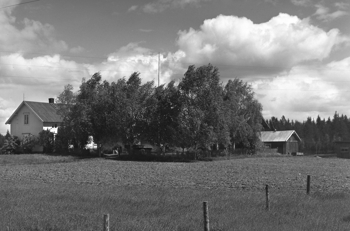 Anno Domkirkeodden, EKSTR: GARDSTUN, RUNDHAUG. Se Løtenboka, bind 2. Bygdeboka fra 1953, side 387