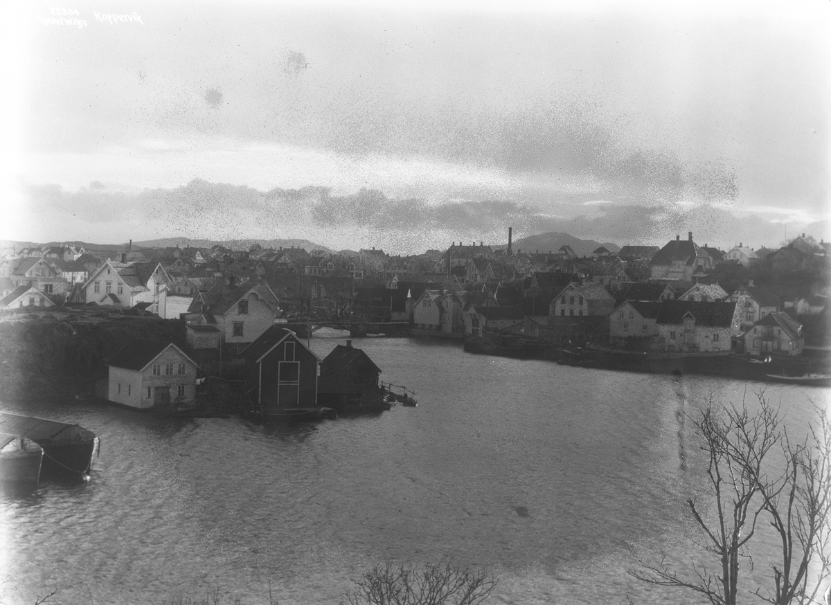 Anders Beer Wilse, Prot: Kopervik