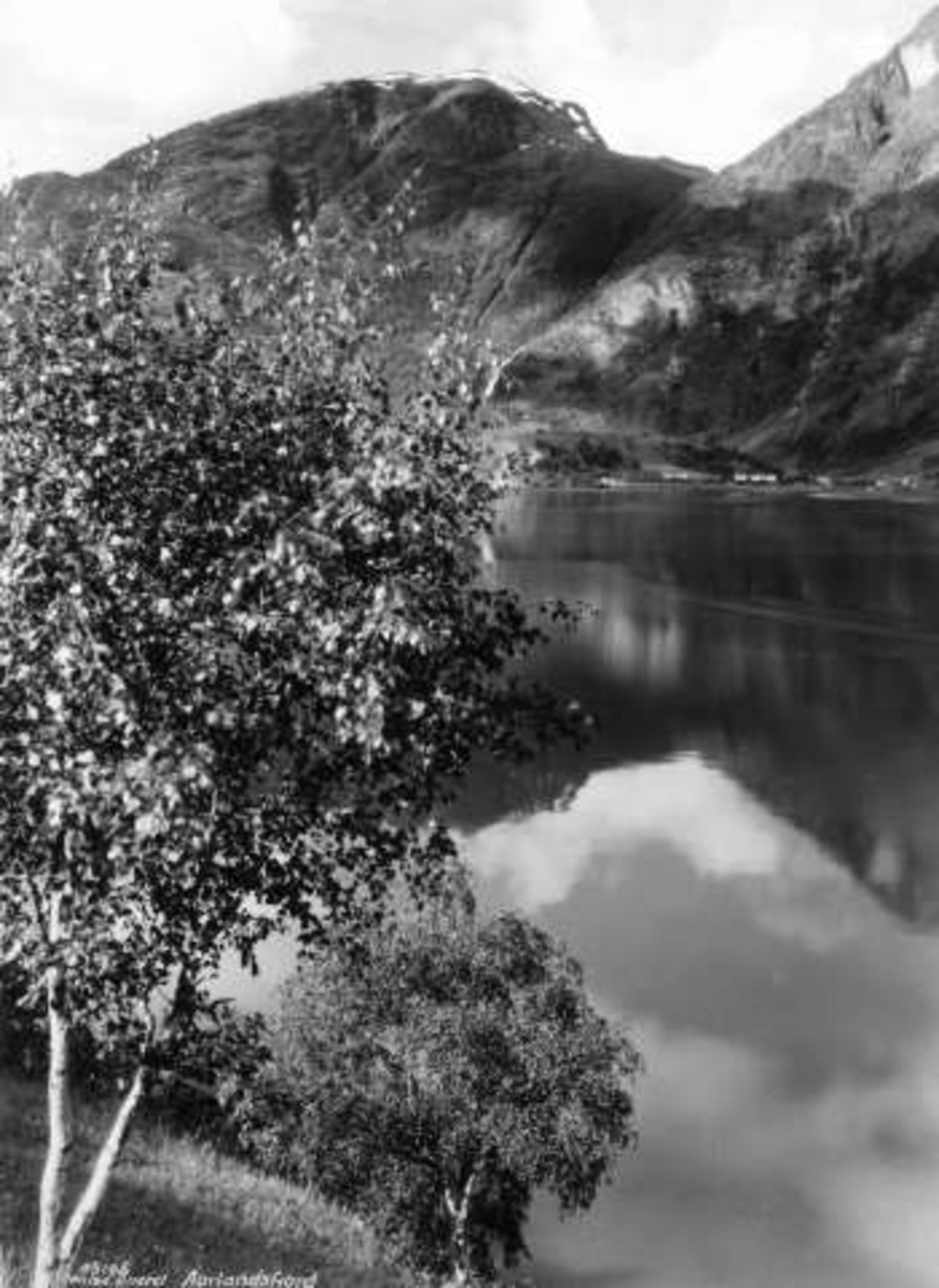 Anders Beer Wilse, -5952