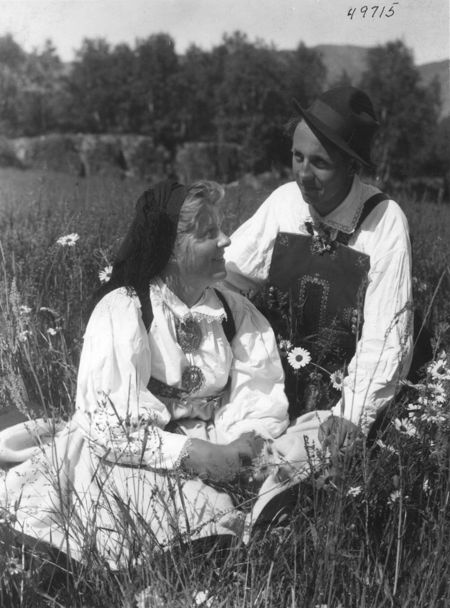 Anders Beer Wilse, Grupper, Wilse original