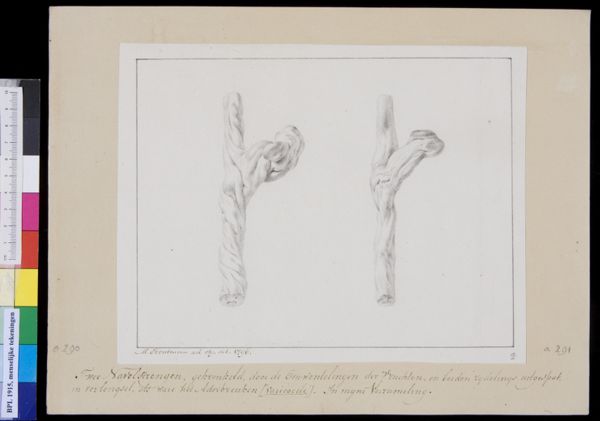 M Houtman, Umbilical cord