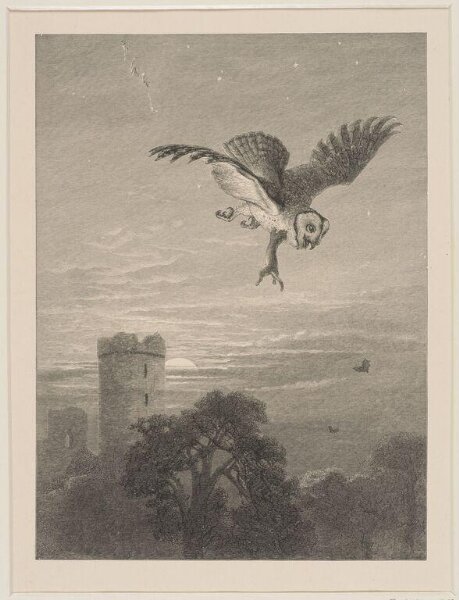 Unknown, Print