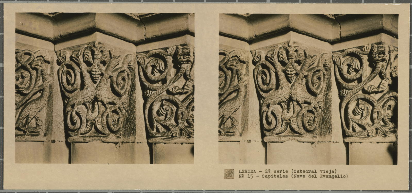 Desconegut, Lérida (Catedral vieja)
