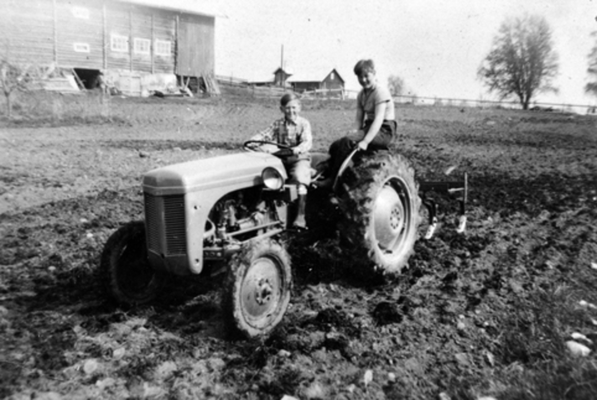 Anno Domkirkeodden, HAUKAASEN, STANGE, TRAKTOR, GRÅTASS, OLE KRISTIAN OG OLE JOHAN SJØLI, CA 1955