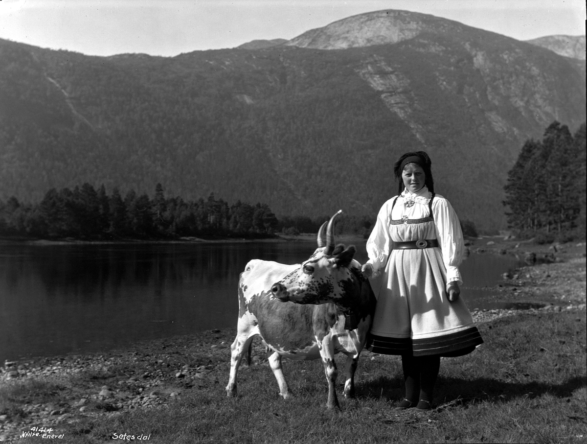 Anders Beer Wilse, Prot: Setesdal pike med ku