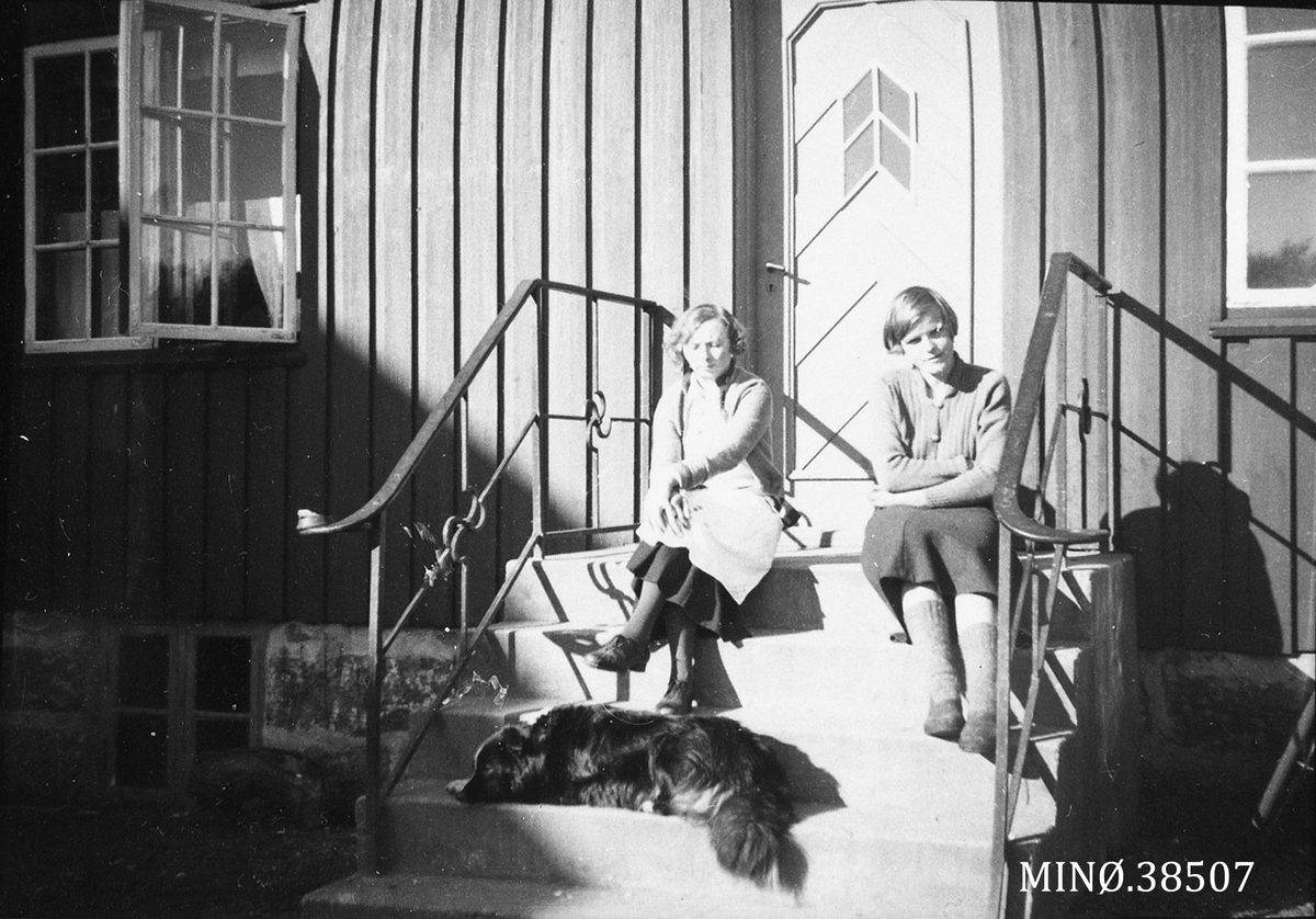 Ukjent, Jenter, hund, trapp