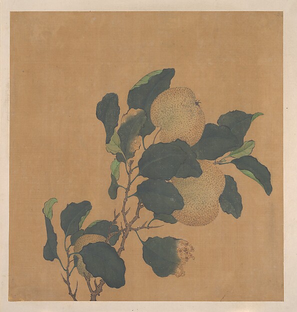 Unidentified artist, Branch of Tree with Fruit