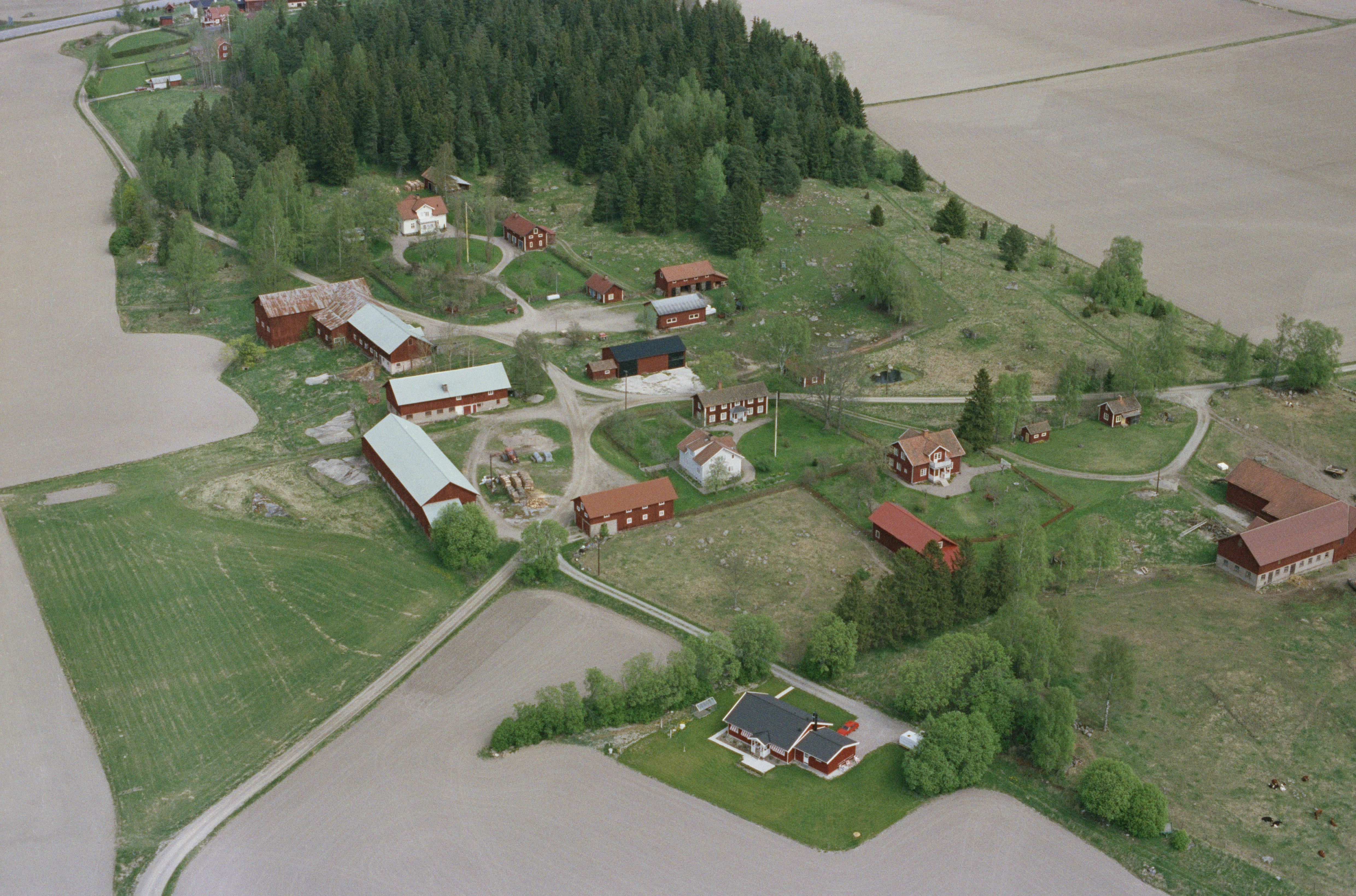 Jan Norrman, Munktorp 132:1