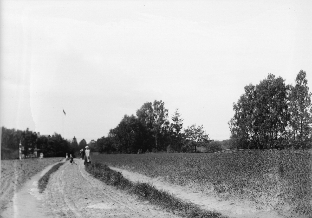Okänd,, Sannolikt familjen Liljefors på promenad, landsbygd, sannolikt Sverige